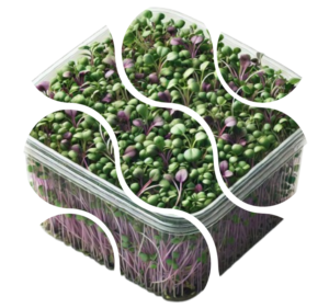 MicroGreens